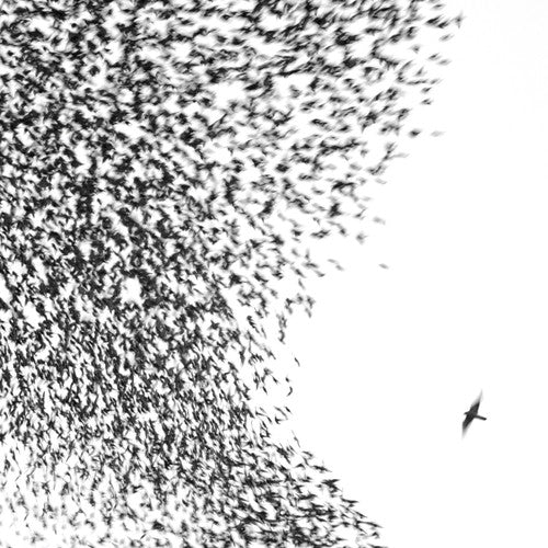 1072607_459aa7c1-1916-4681-a9d5-3cc31ba00ef0